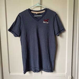 Hollister Navy Striped V-Neck Shirt